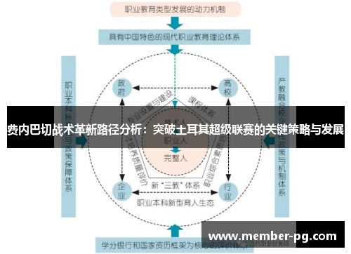 费内巴切战术革新路径分析：突破土耳其超级联赛的关键策略与发展