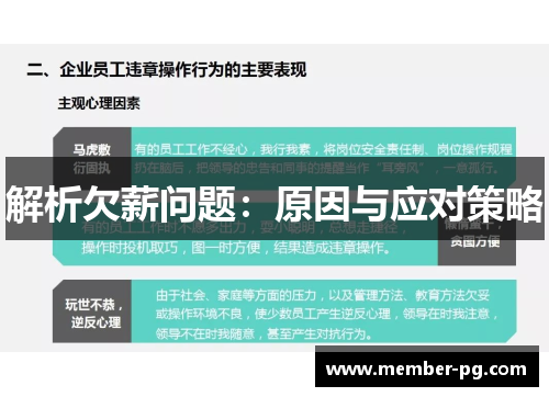 解析欠薪问题：原因与应对策略