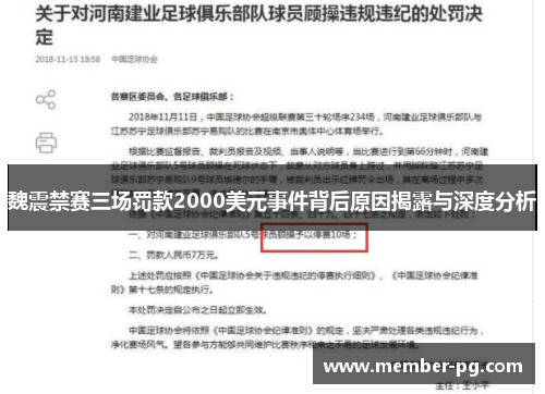 魏震禁赛三场罚款2000美元事件背后原因揭露与深度分析