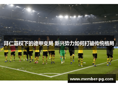 拜仁霸权下的德甲变局 新兴势力如何打破传统格局 拜仁霸权下的德甲变局 新兴势力如何打破传统格局