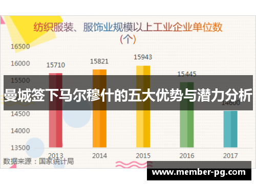 曼城签下马尔穆什的五大优势与潜力分析 曼城签下马尔穆什的五大优势与潜力分析