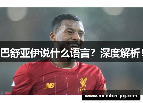 巴舒亚伊说什么语言？深度解析！