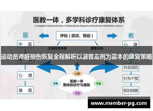 运动员肾脏损伤恢复全程解析以波普案例为蓝本的康复策略